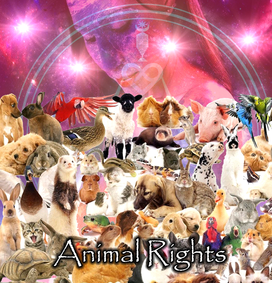 Championing The Cause For Animal Rights | Outer Limits of Inner Truth