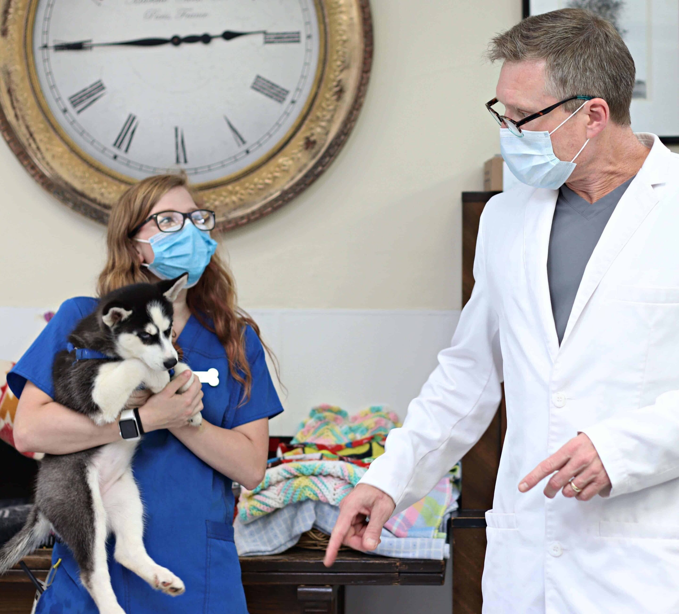 It is free for the life of your pet and can be used by anyone with any brand of microchip. How To Register A Microchip Paoli Vetcare