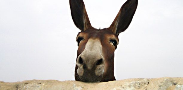 The mask is fitters for younger children. Party Games For Kids Pin The Tail On The Donkey