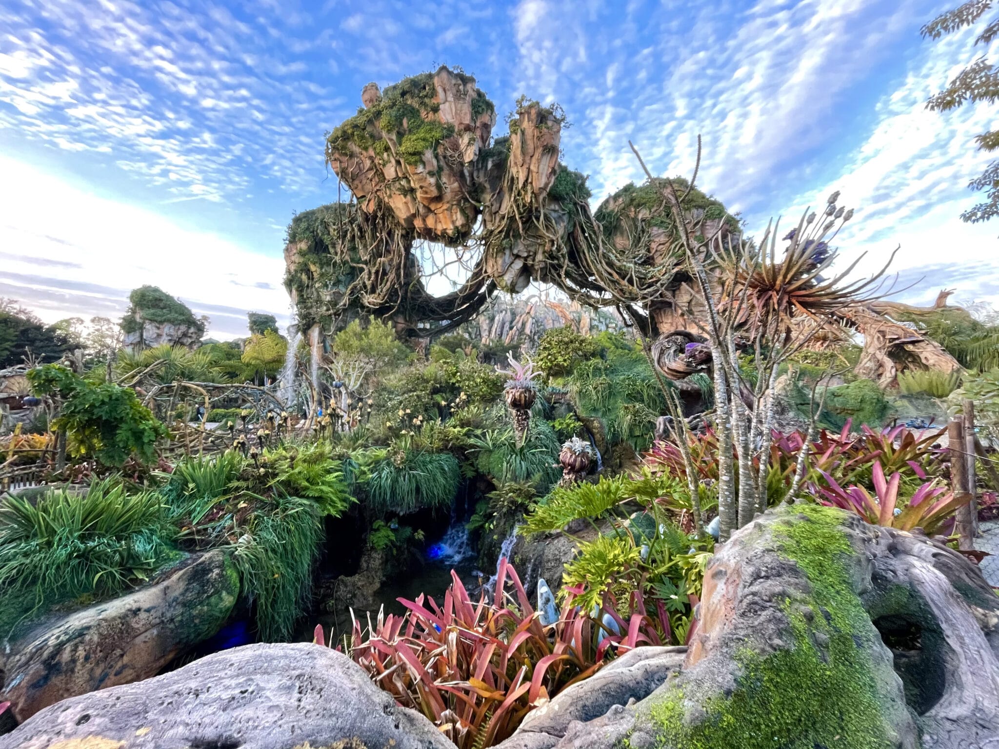 One of the most fascinating things to study in science class is the animal kingdom. 1 Day Animal Kingdom Plan A Disney Parks Planning Website