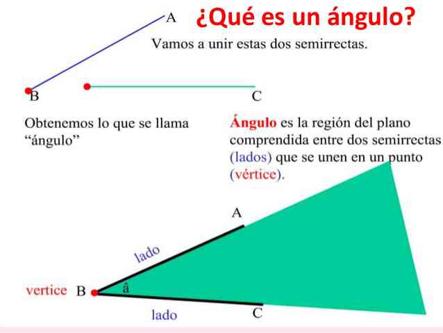 La recta que divide en dos partes iguales a un ángulo se llama bisectriz y cualquier punto de ella equidista de ambos lados del ángulo. Partes Del Angulo