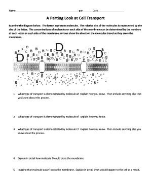 In passive transport, the movement of particles across a membrane requires energy. A Parting Look At Cell Transport Answer Key Fill Online Printable Fillable Blank Pdffiller