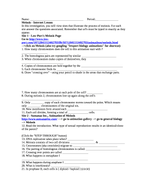 Leaf anatomy mitosis cell cycle cell division. Meiosis Internet Lesson Answer Key Doc Template Pdffiller