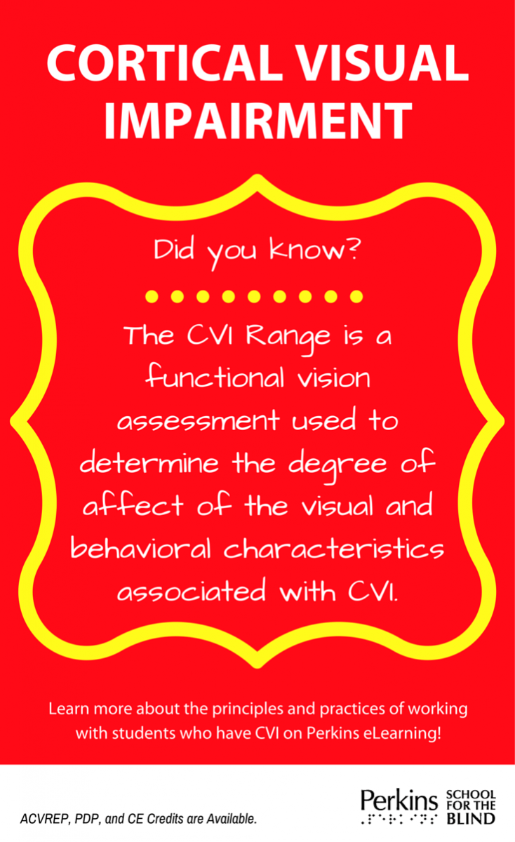 Most people who are legally blind still have some remaining vision. Cortical Visual Impairment (Spring Session) | Perkins