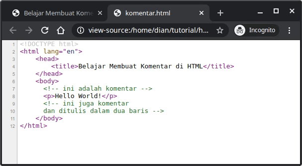 Belajar HTML #05: Cara Membuat Komentar di HTML