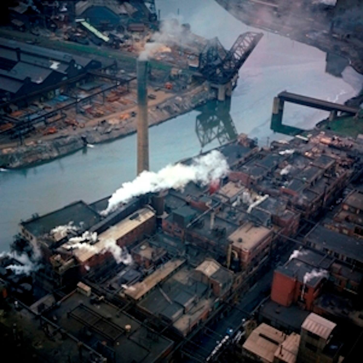 Trump, Trade, & Buffalo The Pigeon Roost