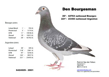 wallpapers Hoe Snel Kan Een Duif Vliegen<br /> van der veken patrick putte be pipa