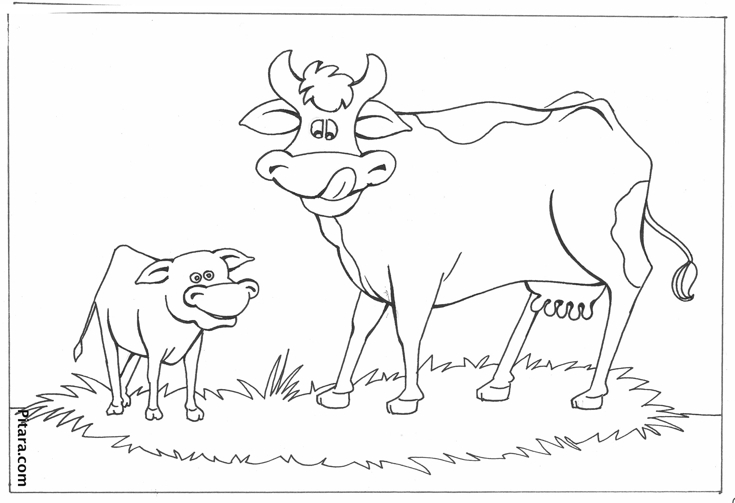  Domestic Animals Coloring Pages | Pitara Kids Network