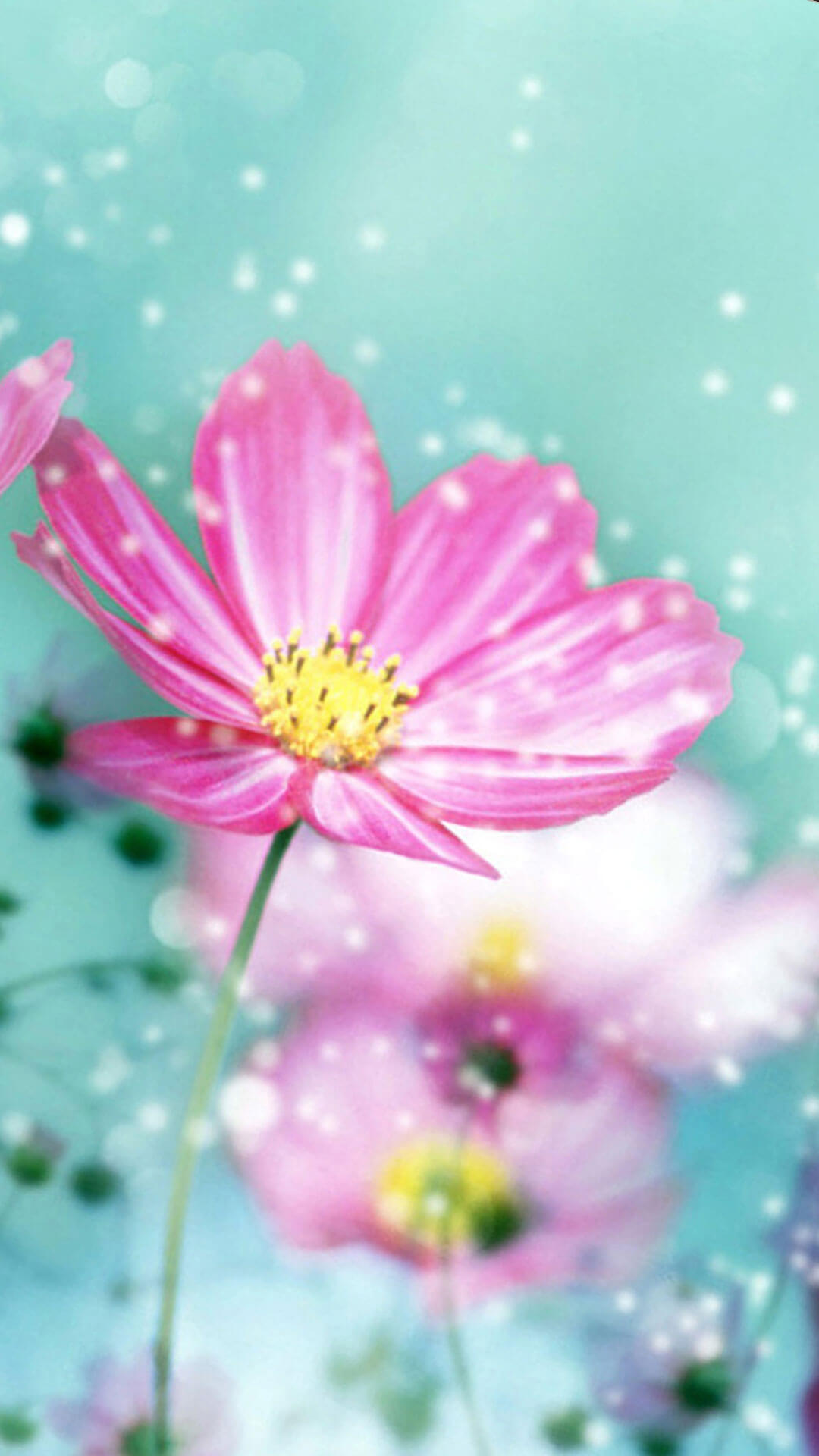 Colorful outdoor backgrounds can help you to feel relaxed or energized for the rest of the day. Flower iPhone Wallpapers | PixelsTalk.Net