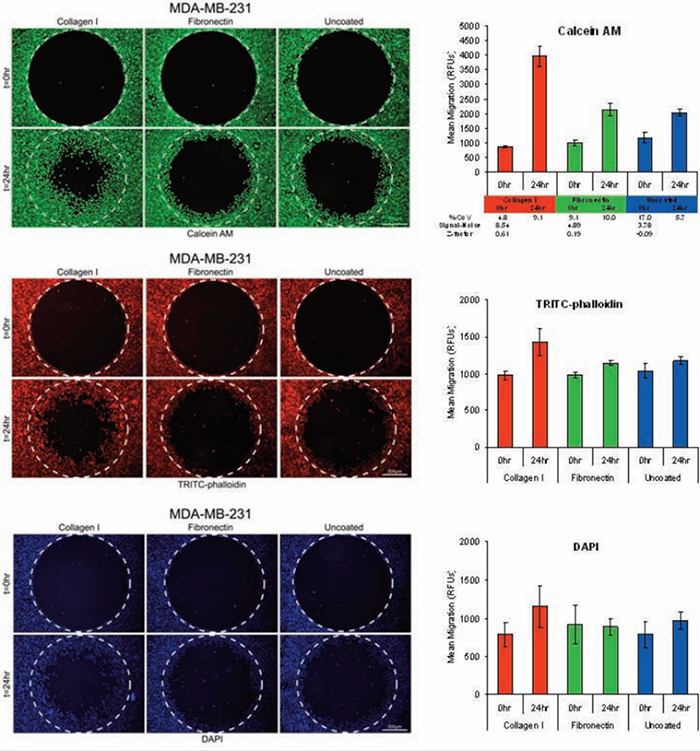 CellBased Assays Posters Platypus Technologies