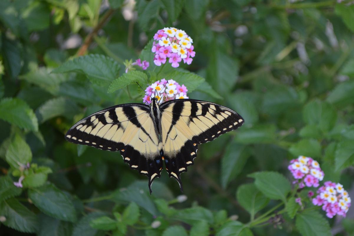 The company provides quality services in the field of . Customer Photos