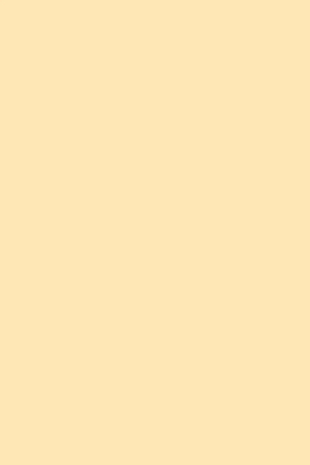 In fact, it's made up of red, green, yellow, blue and orange. Peach Color Solid Color Background 1000 Free Download Vector Image Png Psd Files