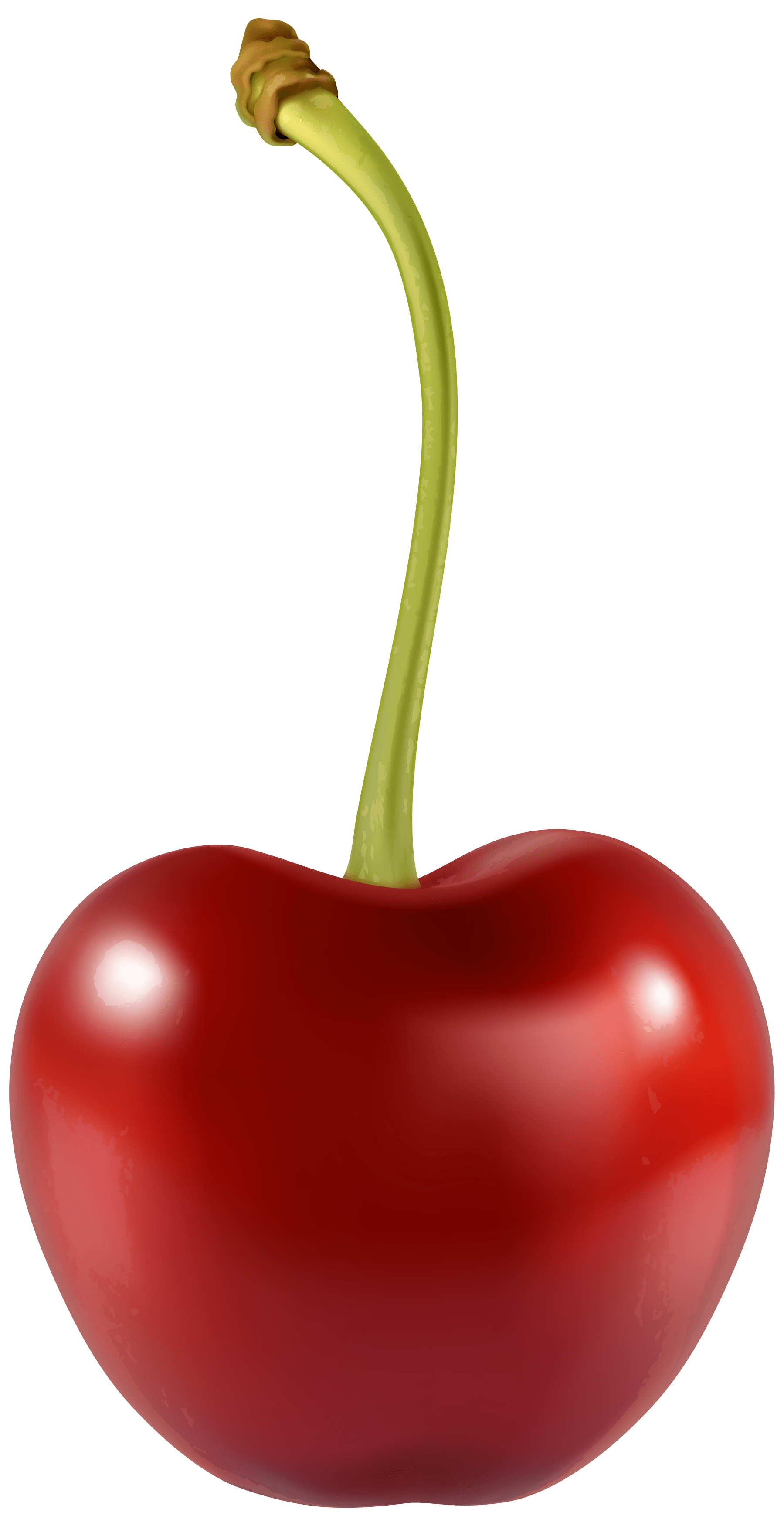 Discover 1750 free cherry png images with transparent backgrounds. Cherry Png Images Transparent Background Png Play