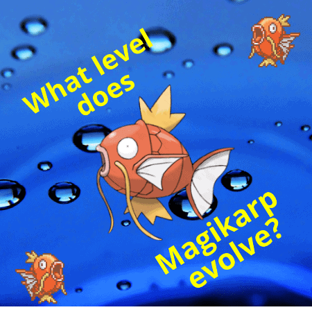 Pokemon emerald is one of the most popular gameboy advance game of all times and this cheat guide will make the game easier for you. What Level Does Magikarp Evolve? | PokemonCoders