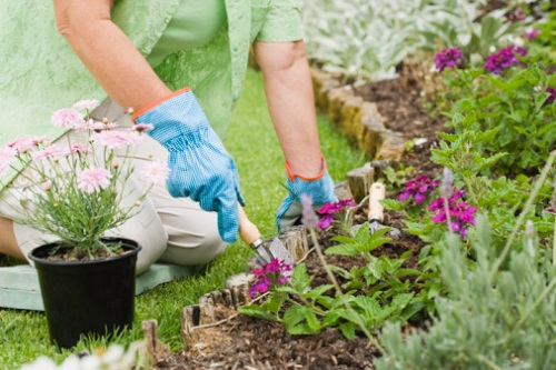 Lavori Di Ottobre In Giardino: Il Punto Della Situazione | Pollicegreen 333_x_500_jpg