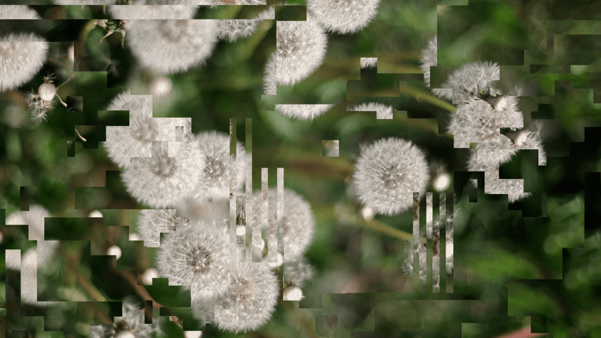 Why we (probably) aren’t living in a computer simulation