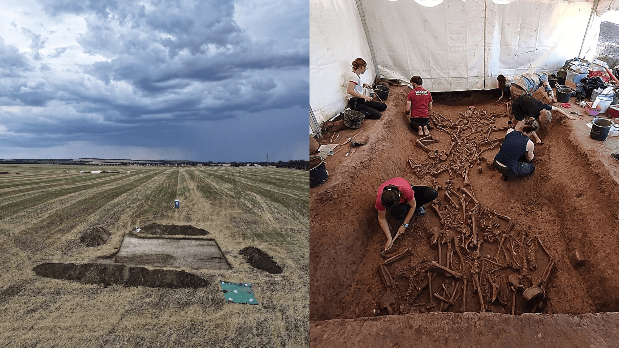 77 headless skeletons found in a field date back 7,000 years
