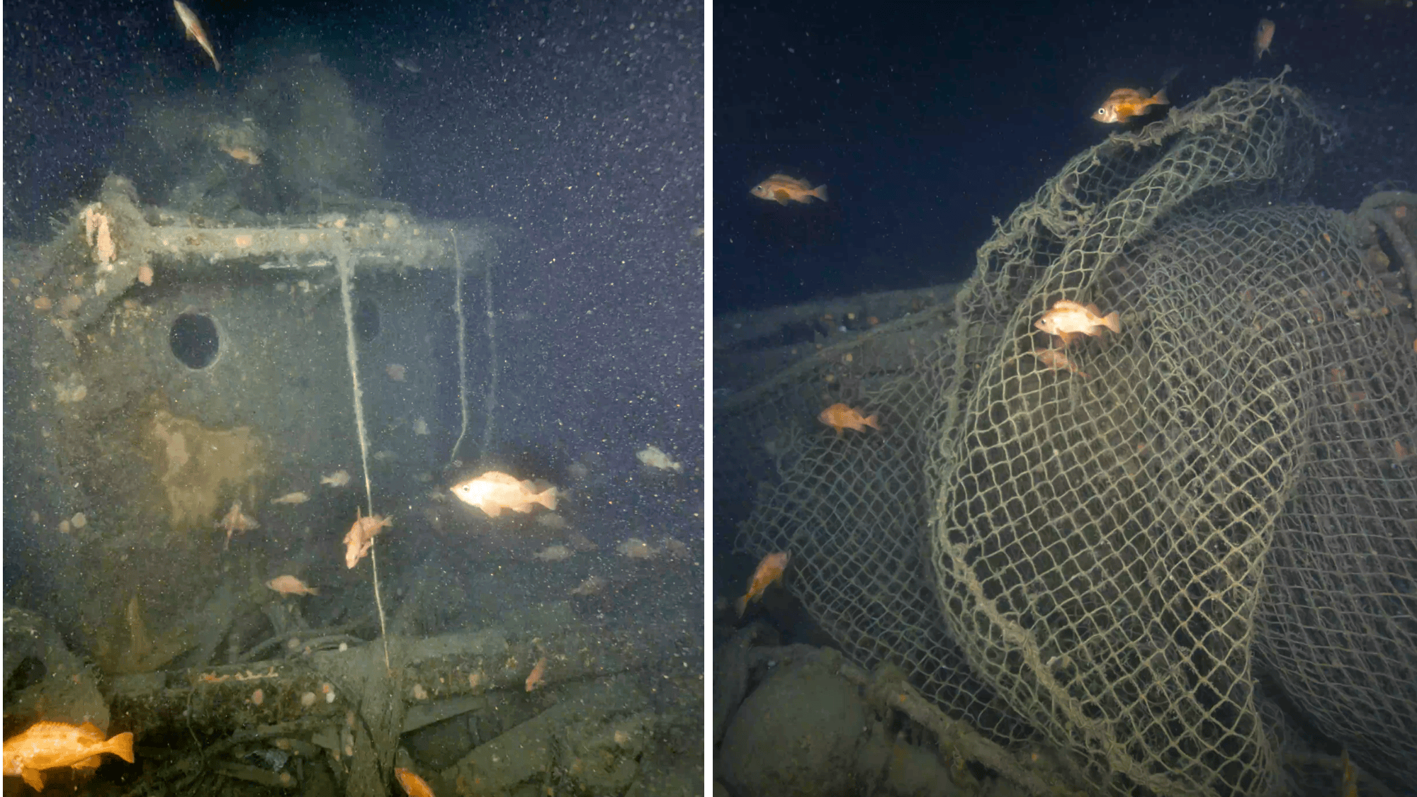 Deep sea submersibles snap first photos of ship where Ernest Shackleton died
