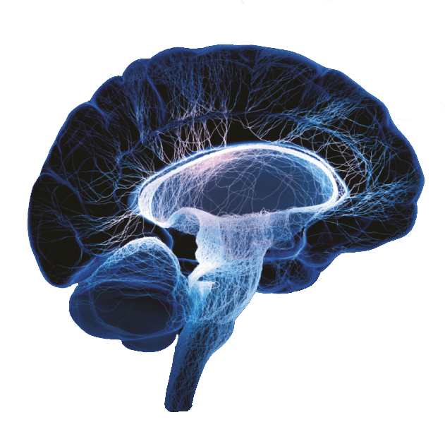 This site offers information designed for educational purposes only. Central Nervous System Porsolt