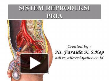 Contoh gametogenesis pada manusia, adanya anomali atau kelainan genetik. Ppt Sistem Reproduksi Pria Powerpoint Presentation Free To View Id 47a68b Mjk0m