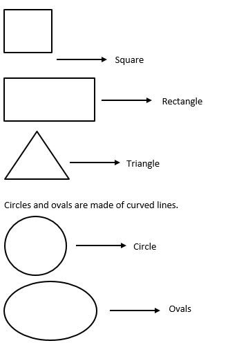 learn class 1 math geometrical shapes