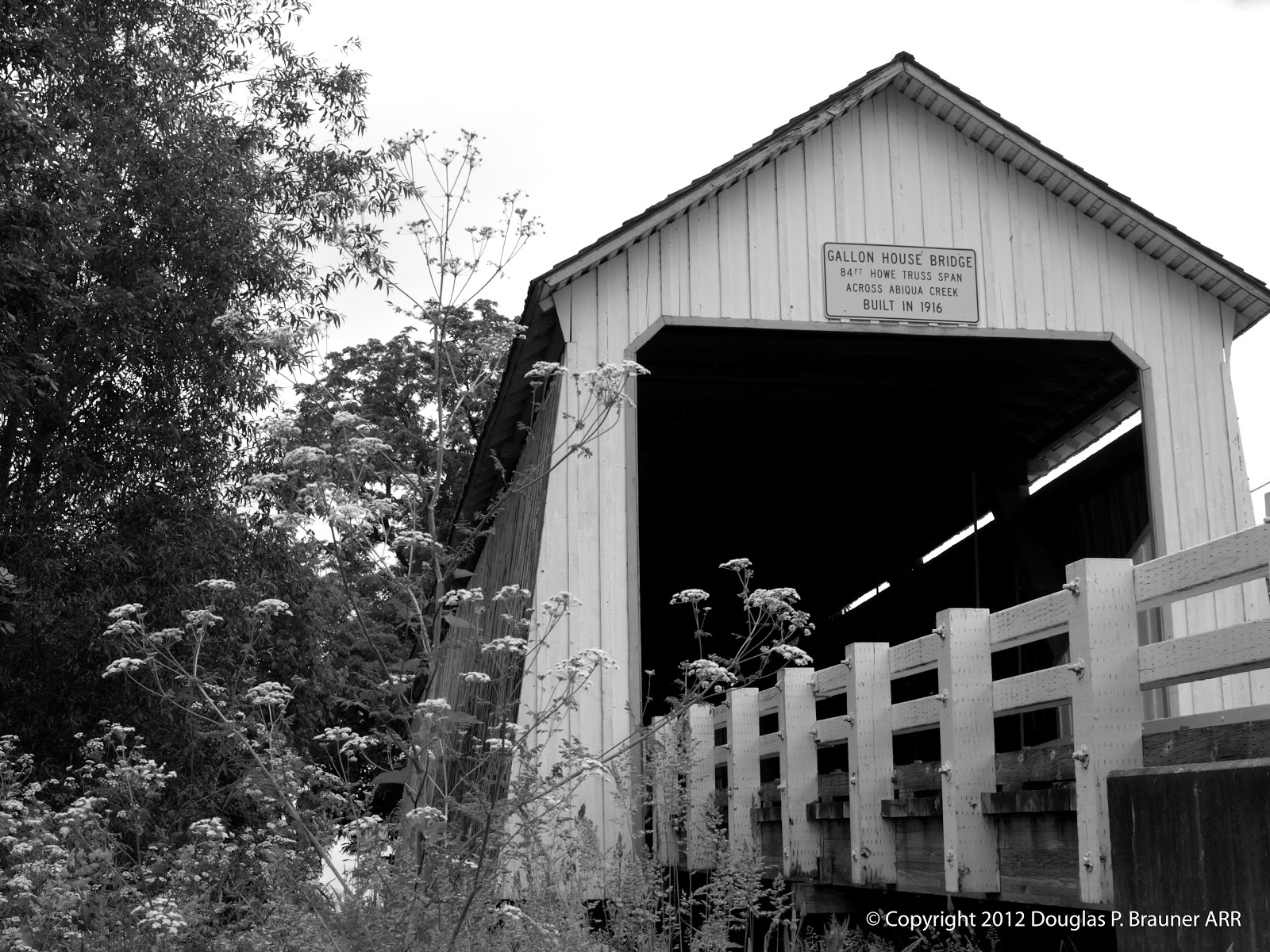 Hope for Protection Praying With The Eyes