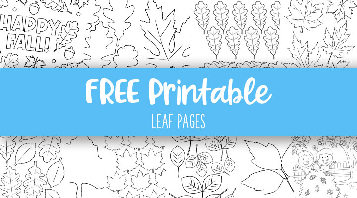 leaf outlines templates coloring pages 55 free pages printabulls