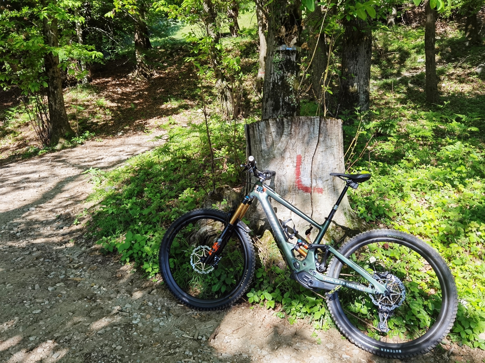 Pro-M – MTB \u0026 Road bikes E-bike Archivi - Pagina 2 di 5 - Pro-M – MTB \u0026  Road bikes