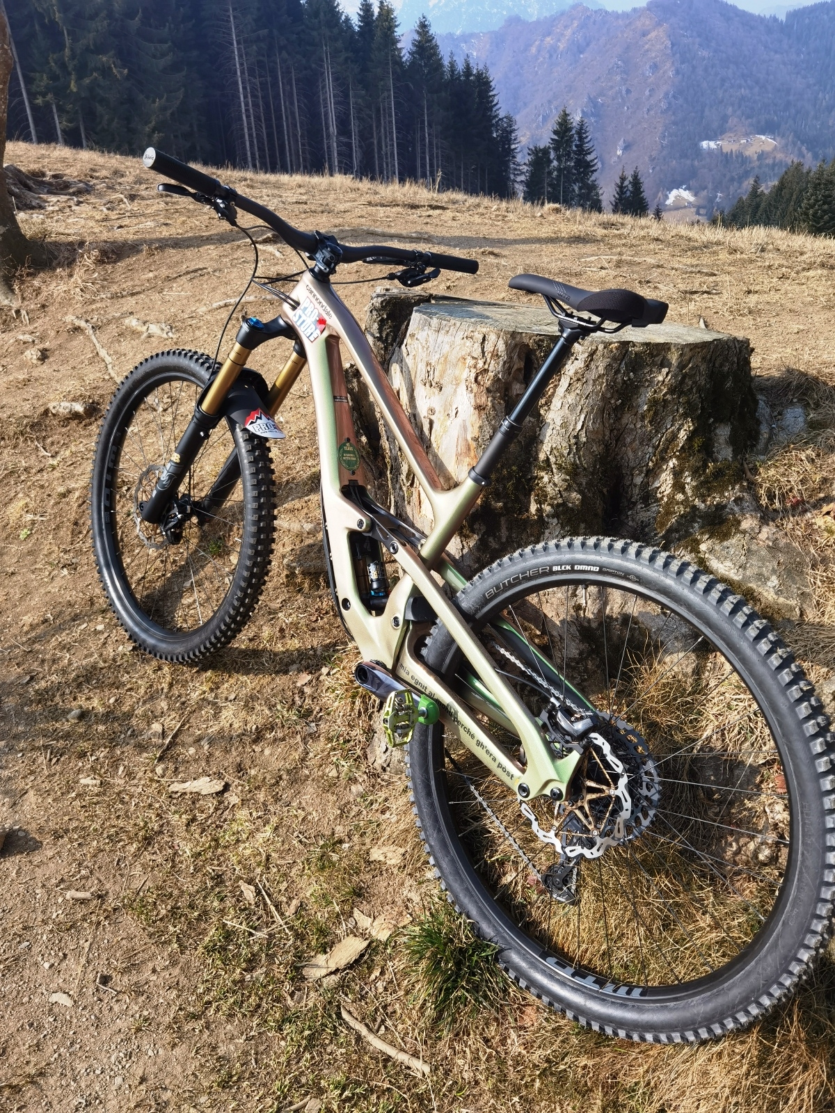 Pro-M – MTB \u0026 Road bikes MTB Archivi - Pro-M – MTB \u0026 Road bikes