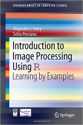 Introduction To Image Processing Using R - Programmer Books
