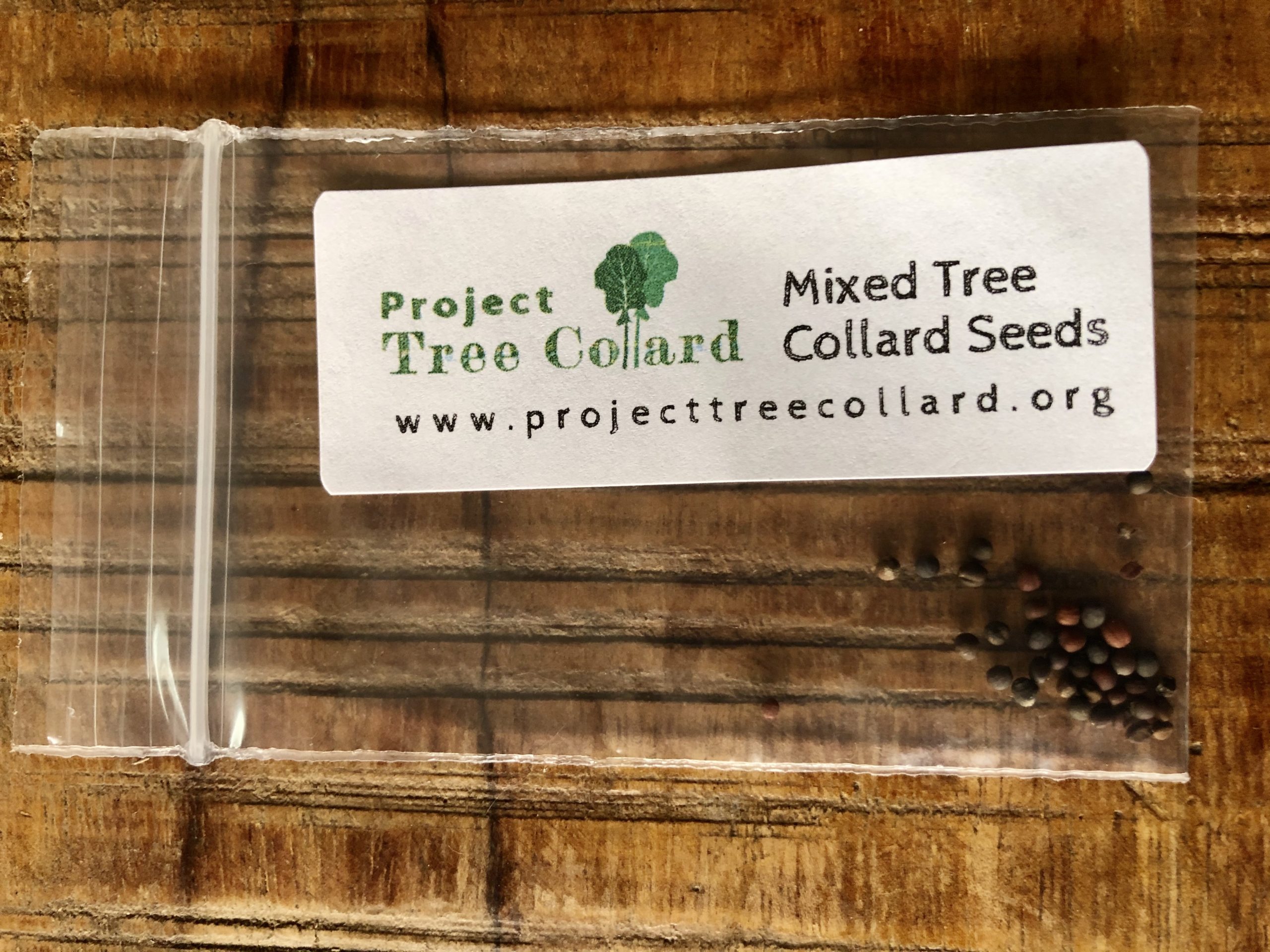 30 Mixed Tree Collard Seeds Project Tree Collard
