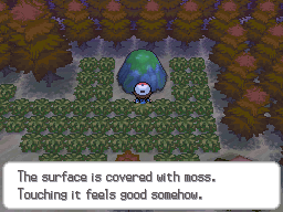 Sedangkan di white 2, rute ini masih penuh badai pasir dan dipenuhi dengan reruntuhan yang sudah digali. Pokemon Black And White Evolution Guide