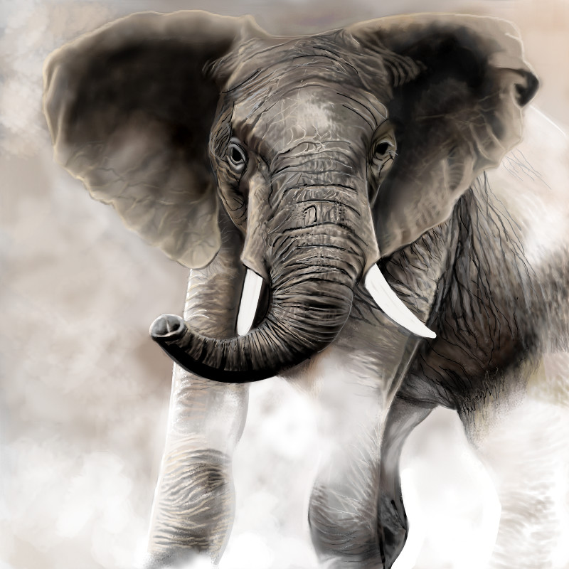 When your students are ready to learn how to draw an elephant with a bit more realism, this might be a good . Elephant An Animals Speedpaint Drawing By Betty Queeky Draw Paint Page 2