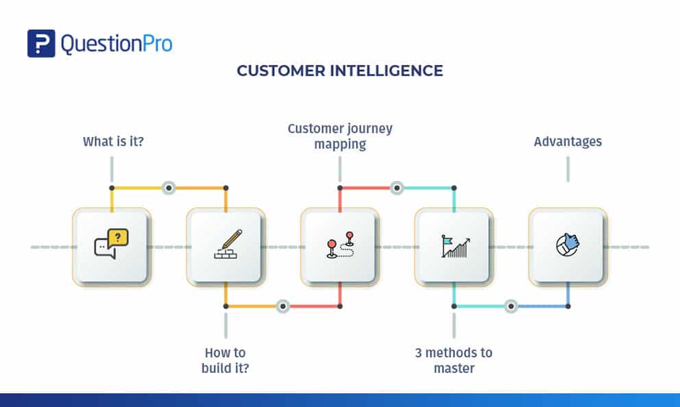 Customer Intelligence Definition Steps Involved Software
