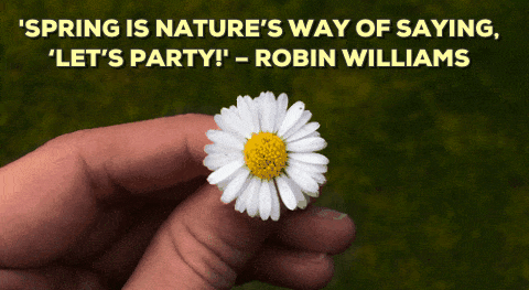 Spring Quotes: 12 Inspiring Sayings About Starting Fresh 