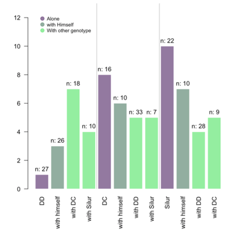 All Chart The R Graph Gallery