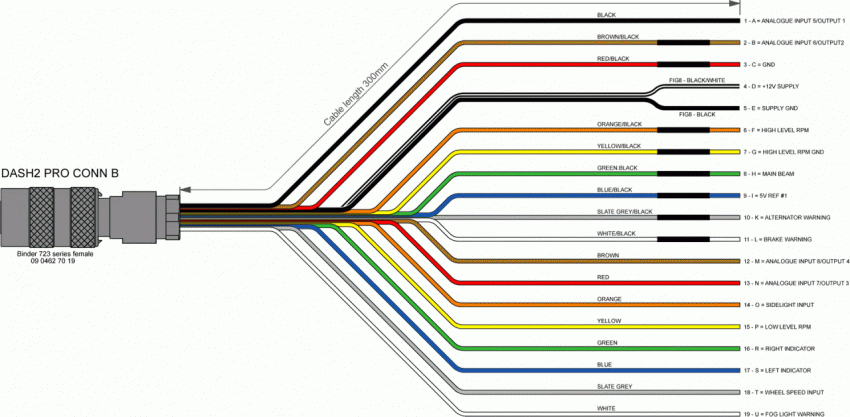 Bestof You: Great Motec M130 Wiring Diagram Of All Time Check It Out Now!