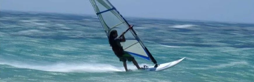 This plugin is compatible with woocommerce. 14 Best Free WordPress Lazy Load Plugins 2021 Edition