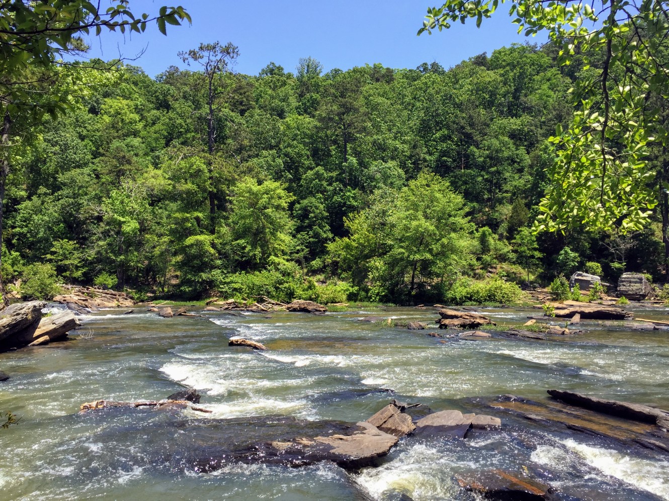 The Best Outdoor Summer Activities in Atlanta Raine In The City