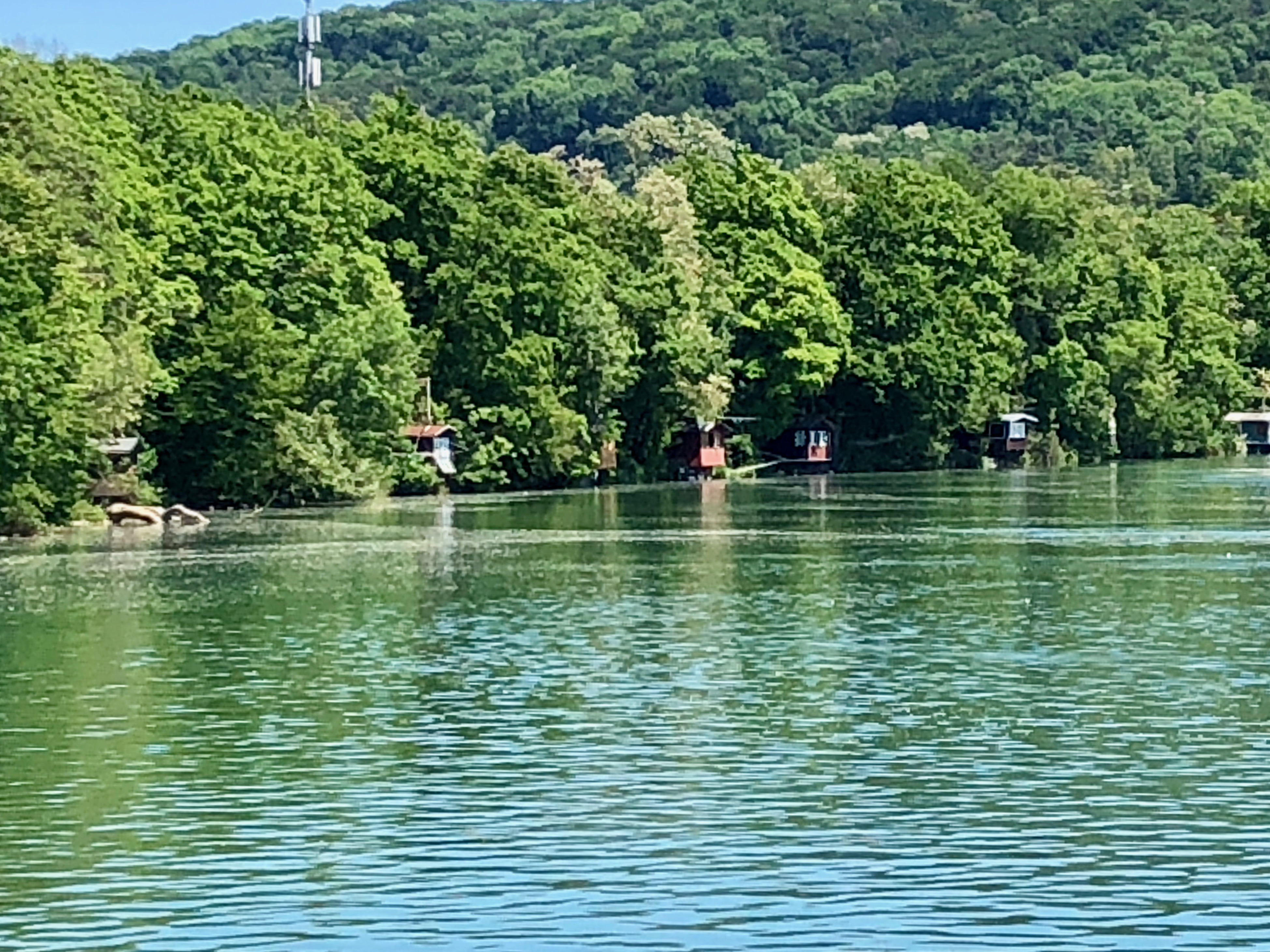 Rheinspaziergang, 02.06.2019 4 IMG 4771