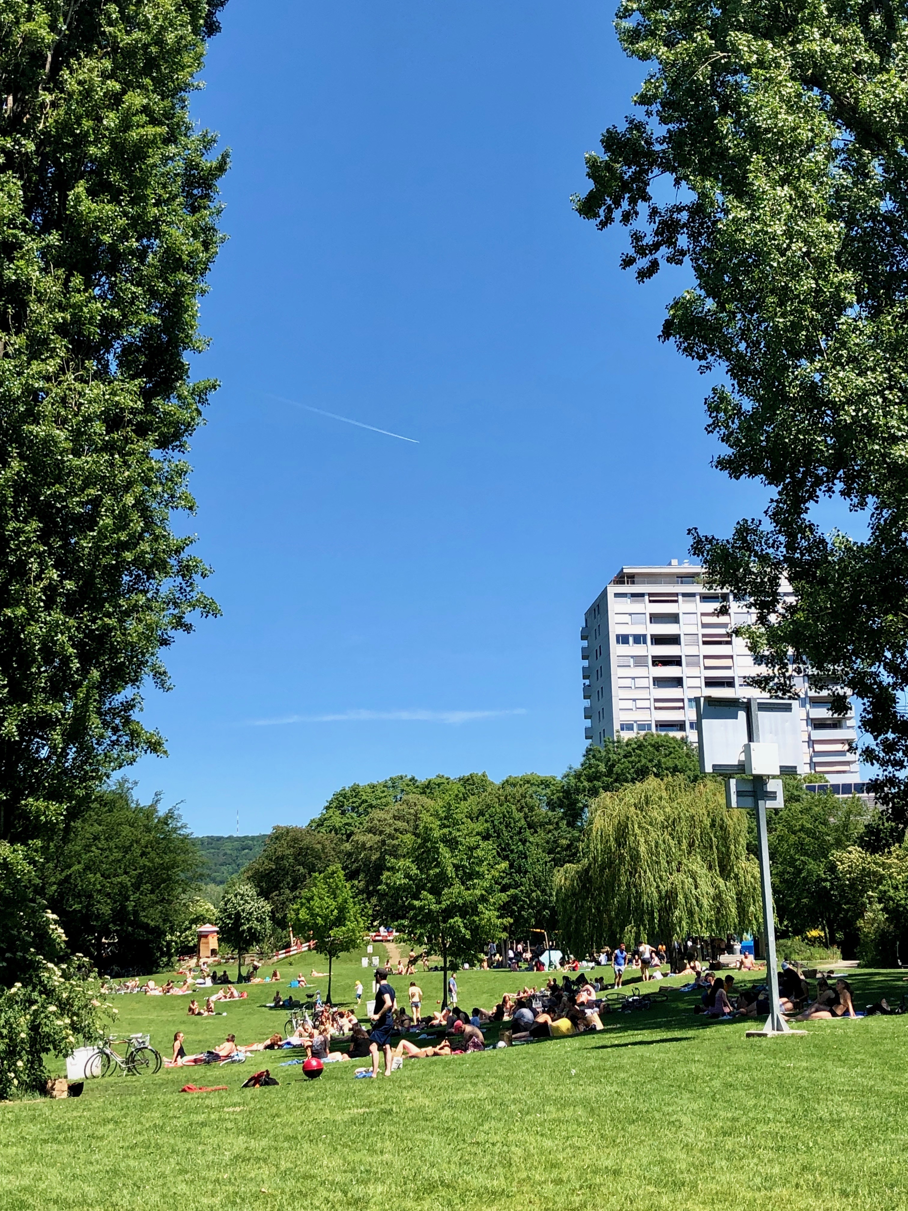 Rheinspaziergang, 02.06.2019 10 IMG 4780