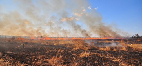 Study discovers how early humans used fire to their advantage