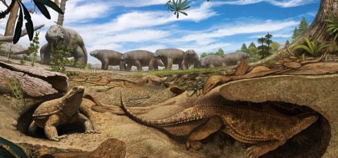 Turtle shells didn’t evolve for protection, study claims