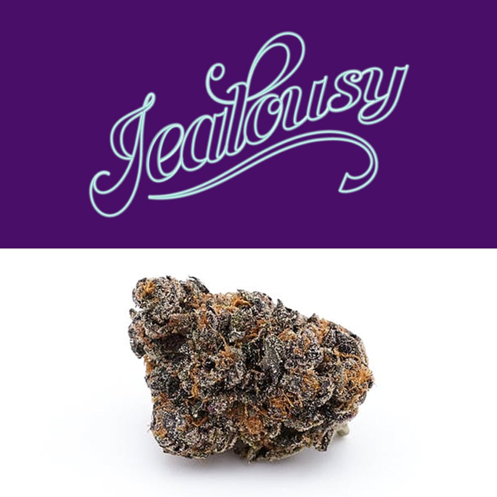 View all of the different products for seed junky genetics. Jealousy Strain By Seed Junky Genetics Review And Information