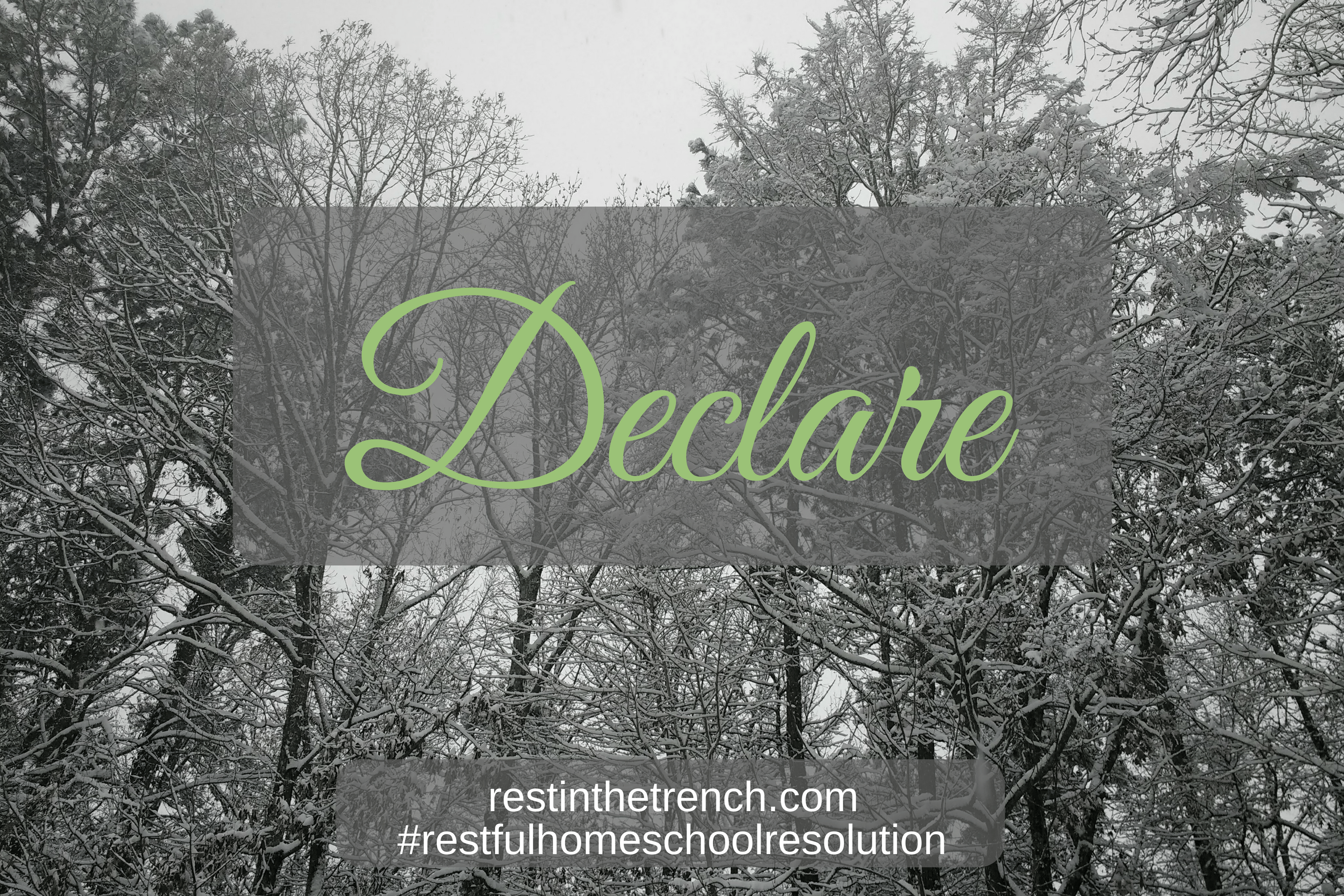 One step in your commitment to seek Jesus first for a restful homeschool