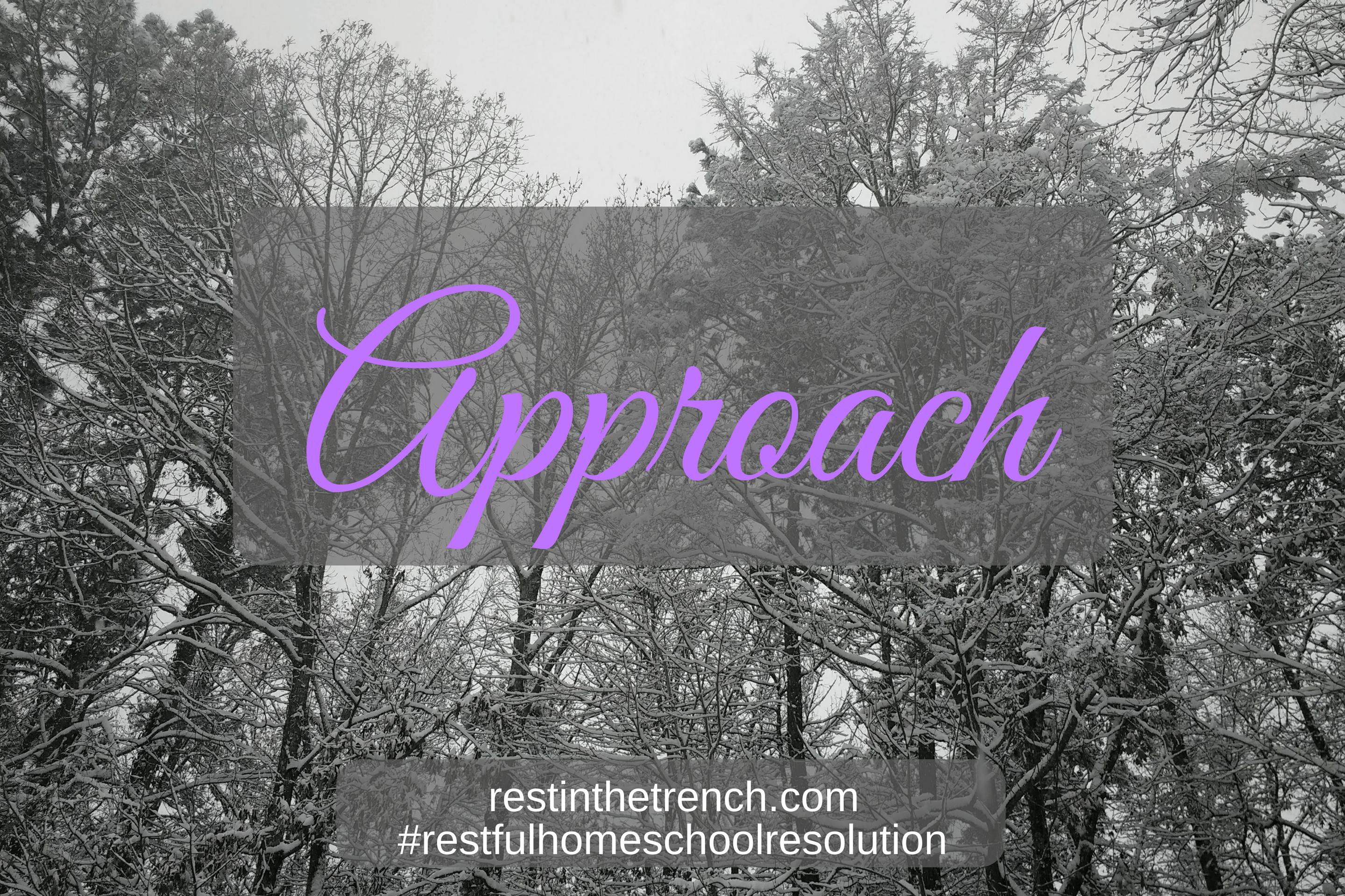 One step in your commitment to seek Jesus first for a restful homeschool