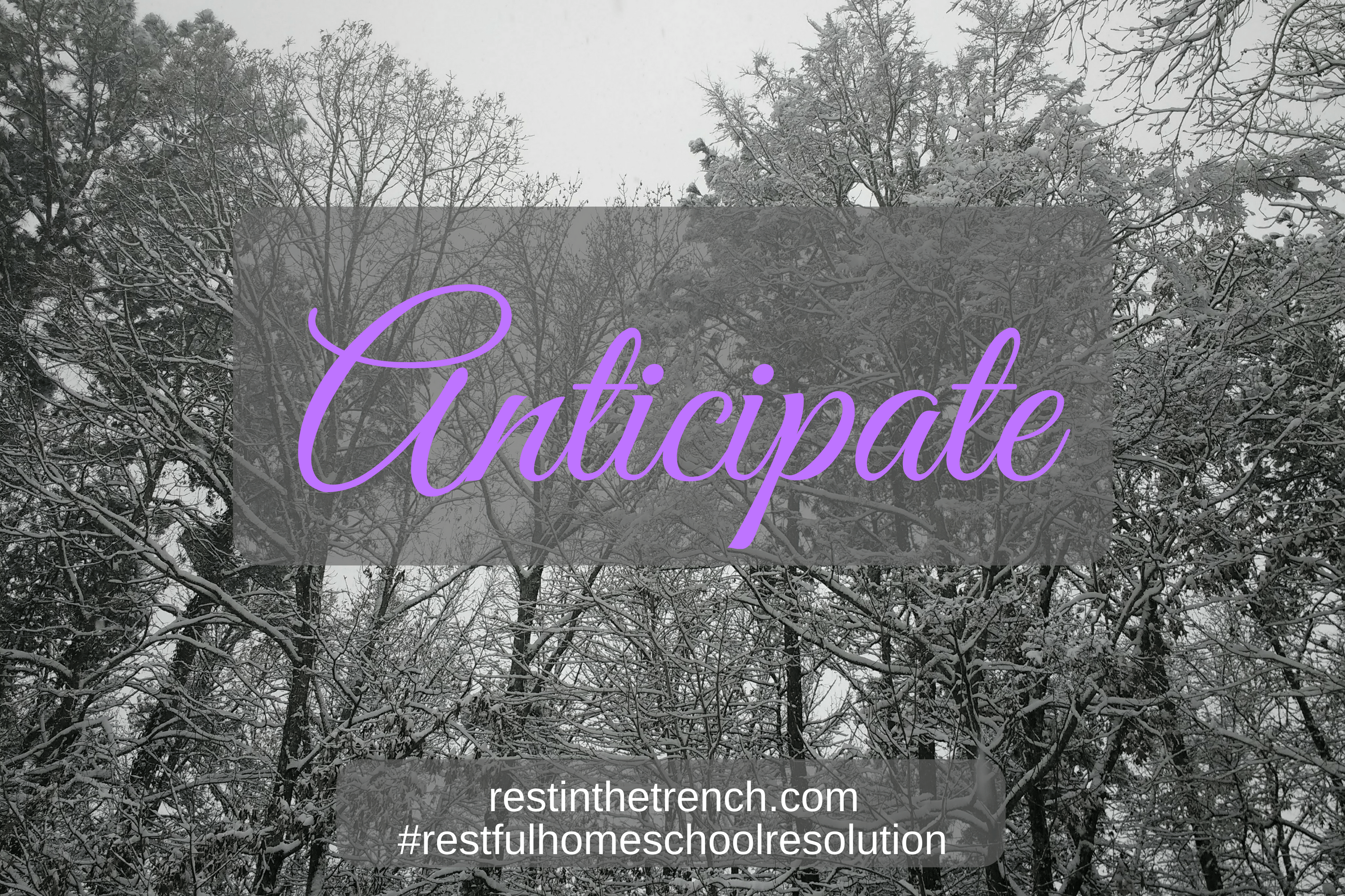 One step in your resolution to seek Jesus first for a restful homeschool