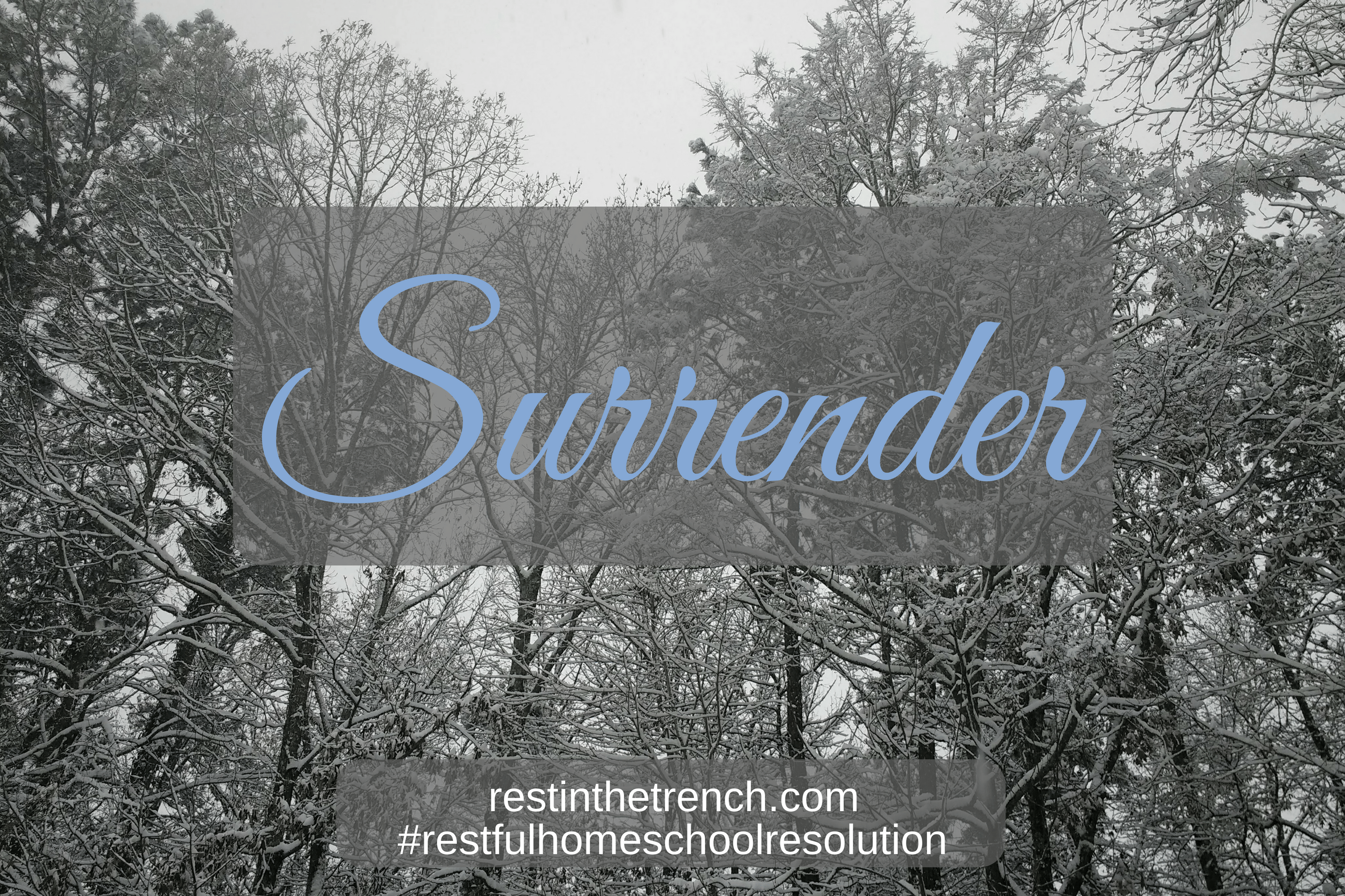 One step in your commitment to seek Jesus first for a restful homeschool