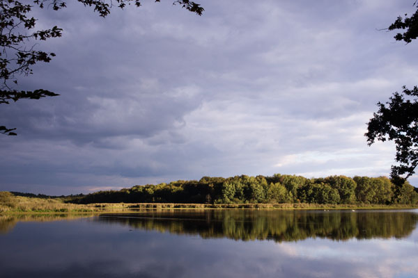 Sologne Environnement Nature