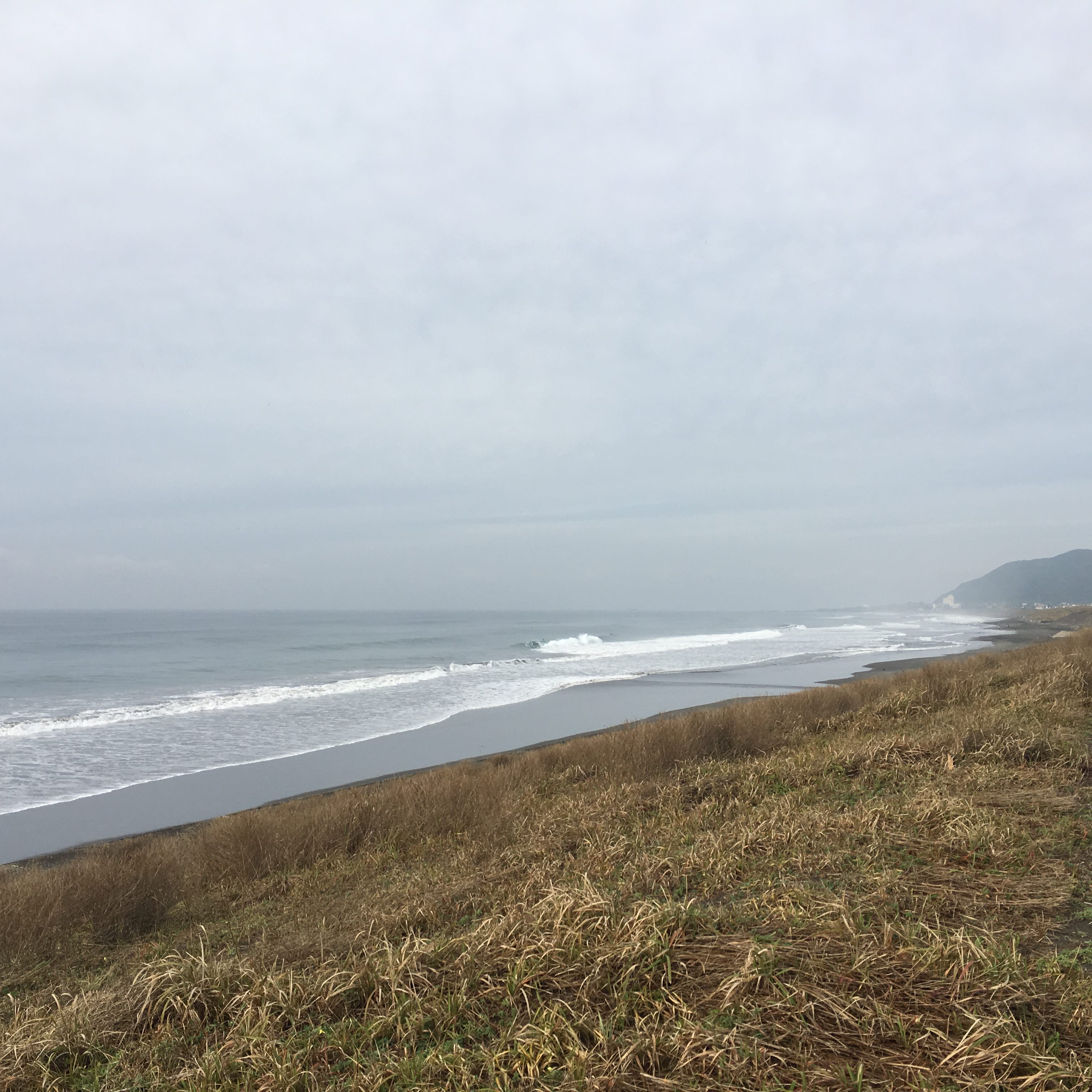 端から見たら絶対やらない Rev Wetsuits